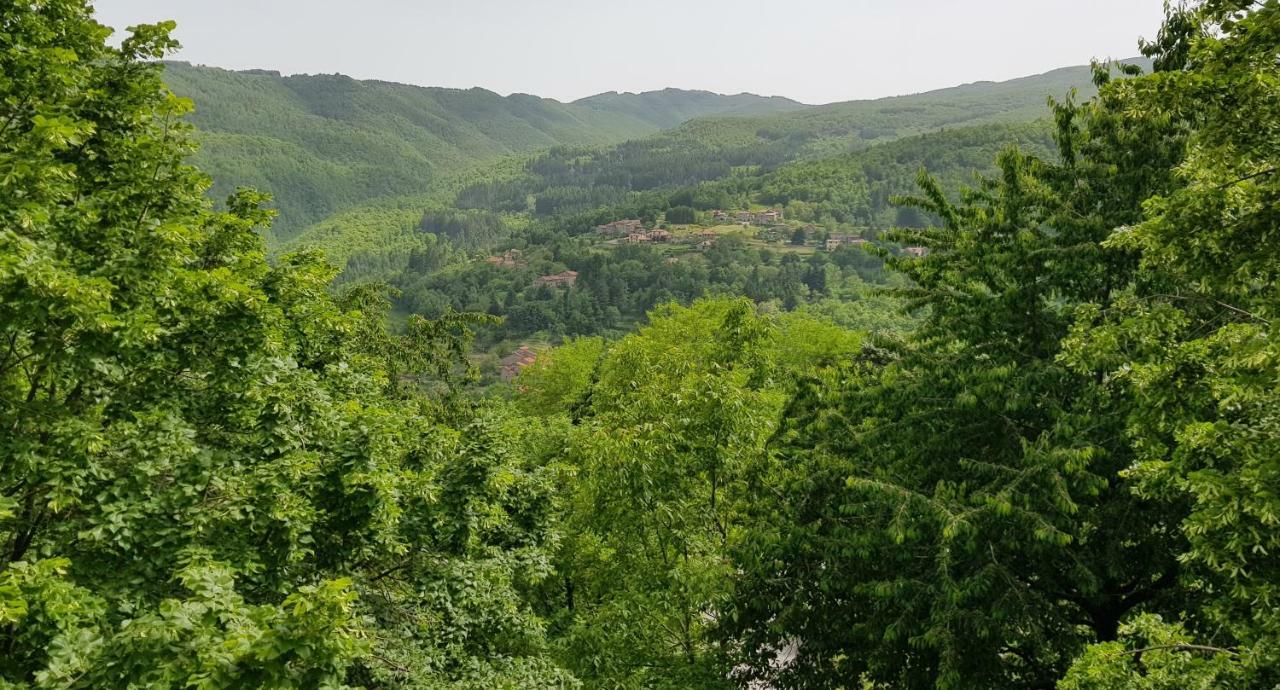 Il Canto Del Fuoco Caiano المظهر الخارجي الصورة